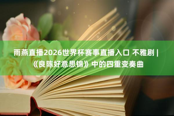 雨燕直播2026世界杯赛事直播入口 不雅剧 | 《良陈好意思锦》中的四重变奏曲