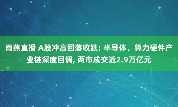 雨燕直播 A股冲高回落收跌: 半导体、算力硬件产业链深度回调, 两市成交近2.9万亿元