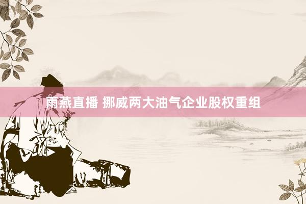 雨燕直播 挪威两大油气企业股权重组