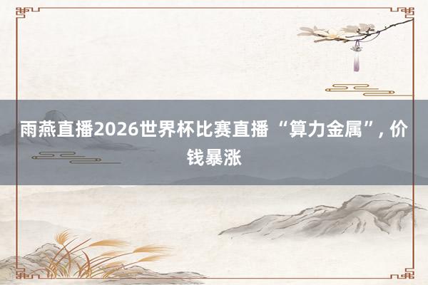 雨燕直播2026世界杯比赛直播 “算力金属”, 价钱暴涨