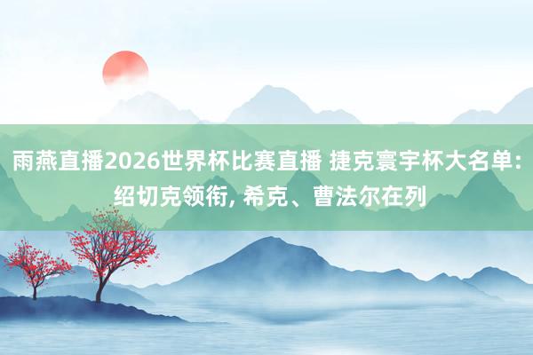 雨燕直播2026世界杯比赛直播 捷克寰宇杯大名单: 绍切克领衔, 希克、曹法尔在列