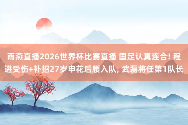 雨燕直播2026世界杯比赛直播 国足认真连合! 程进受伤+补招27岁申花后腰入队, 武磊将任第1队长