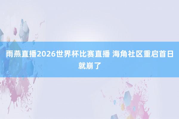 雨燕直播2026世界杯比赛直播 海角社区重启首日就崩了