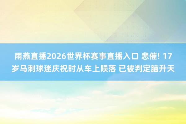 雨燕直播2026世界杯赛事直播入口 悲催! 17岁马刺球迷庆祝时从车上陨落 已被判定脑升天