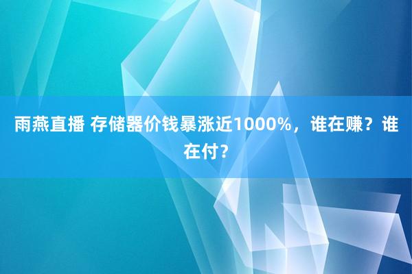 雨燕直播 存储器价钱暴涨近1000%，谁在赚？谁在付？