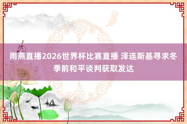 雨燕直播2026世界杯比赛直播 泽连斯基寻求冬季前和平谈判获取发达