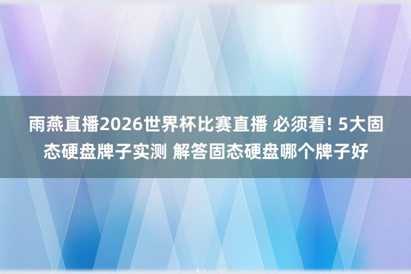 雨燕直播2026世界杯比赛直播 必须看! 5大固态硬盘牌子实测 解答固态硬盘哪个牌子好