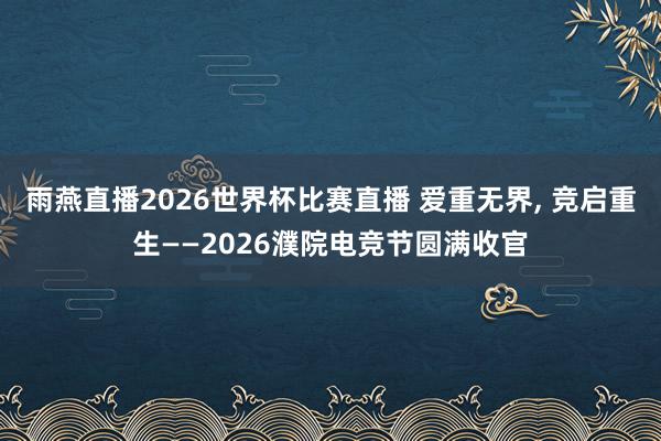 雨燕直播2026世界杯比赛直播 爱重无界, 竞启重生——2026濮院电竞节圆满收官