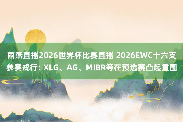 雨燕直播2026世界杯比赛直播 2026EWC十六支参赛戎行: XLG、AG、MIBR等在预选赛凸起重围
