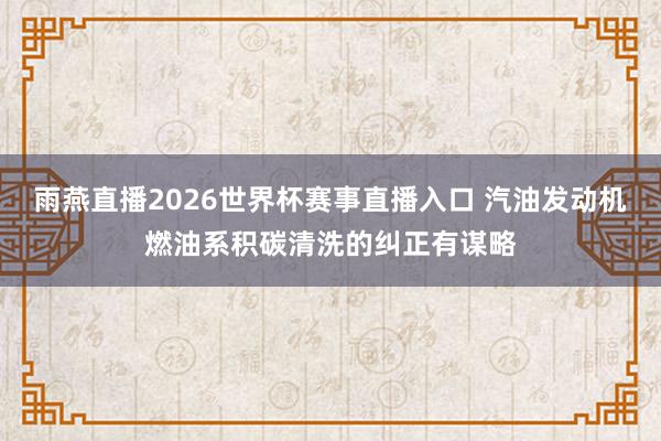 雨燕直播2026世界杯赛事直播入口 汽油发动机燃油系积碳清洗的纠正有谋略
