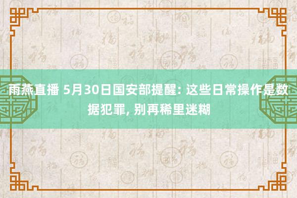 雨燕直播 5月30日国安部提醒: 这些日常操作是数据犯罪, 别再稀里迷糊