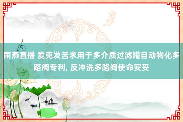 雨燕直播 爱克发苦求用于多介质过滤罐自动物化多路阀专利, 反冲洗多路阀使命安妥