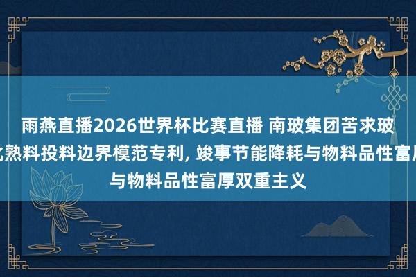 雨燕直播2026世界杯比赛直播 南玻集团苦求玻璃联结粒化熟料投料边界模范专利, 竣事节能降耗与物料品性富厚双重主义