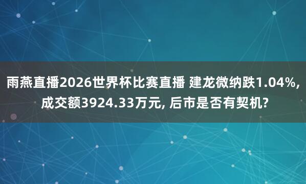 雨燕直播2026世界杯比赛直播 建龙微纳跌1.04%, 成交额3924.33万元, 后市是否有契机?