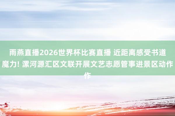 雨燕直播2026世界杯比赛直播 近距离感受书道魔力! 漯河源汇区文联开展文艺志愿管事进景区动作