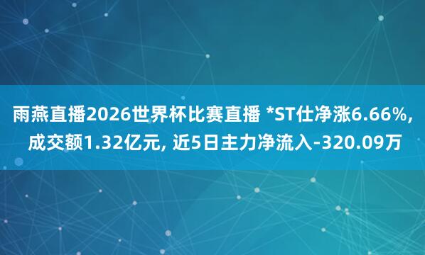 雨燕直播2026世界杯比赛直播 *ST仕净涨6.66%, 成交额1.32亿元, 近5日主力净流入-320.09万