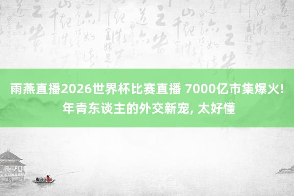 雨燕直播2026世界杯比赛直播 7000亿市集爆火! 年青东谈主的外交新宠, 太好懂