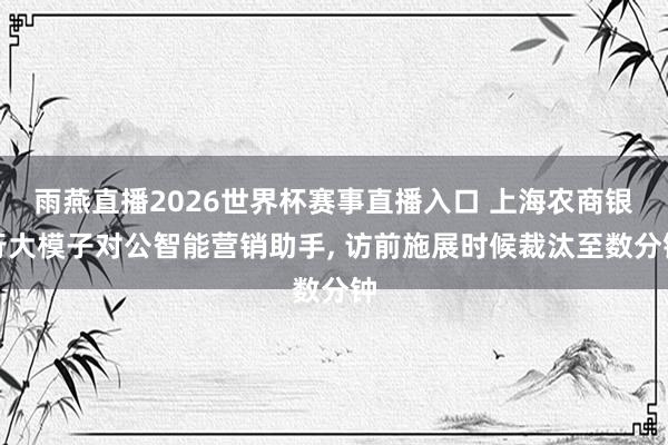 雨燕直播2026世界杯赛事直播入口 上海农商银行大模子对公智能营销助手, 访前施展时候裁汰至数分钟