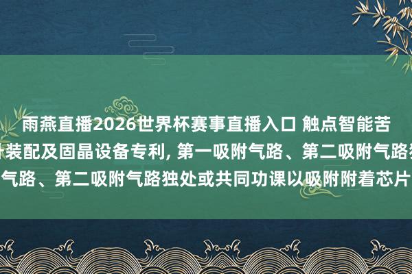 雨燕直播2026世界杯赛事直播入口 触点智能苦求具有双吸附气路的顶升装配及固晶设备专利, 第一吸附气路、第二吸附气路独处或共同功课以吸附附着芯片的底膜