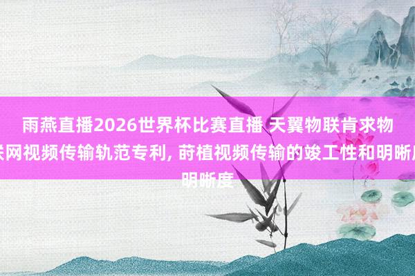 雨燕直播2026世界杯比赛直播 天翼物联肯求物联网视频传输轨范专利, 莳植视频传输的竣工性和明晰度