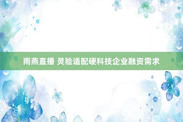 雨燕直播 灵验适配硬科技企业融资需求