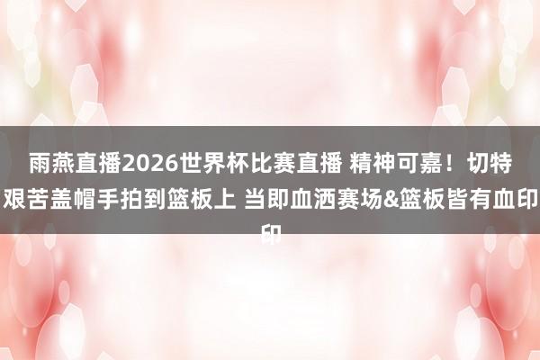 雨燕直播2026世界杯比赛直播 精神可嘉！切特艰苦盖帽手拍到篮板上 当即血洒赛场&篮板皆有血印