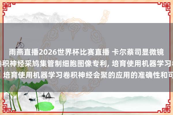 雨燕直播2026世界杯比赛直播 卡尔蔡司显微镜苦求欺诈高下文数据在卷积神经采鸠集管制细胞图像专利， 培育使用机器学习卷积神经会聚的应用的准确性和可靠性