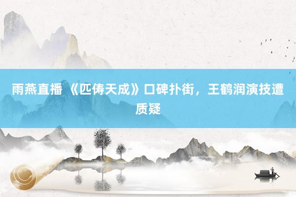 雨燕直播 《匹俦天成》口碑扑街，王鹤润演技遭质疑