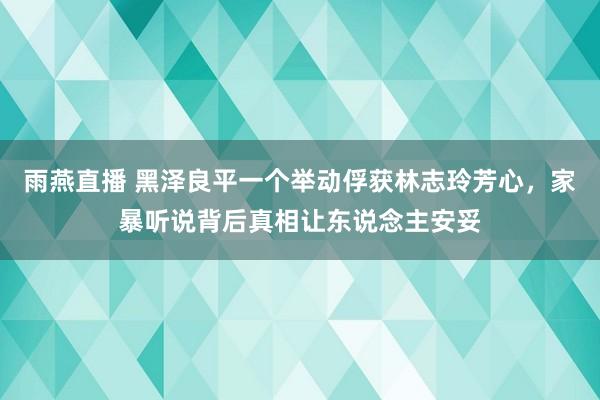 雨燕直播 黑泽良平一个举动俘获林志玲芳心，家暴听说背后真相让东说念主安妥