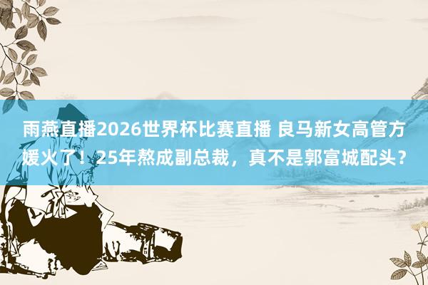 雨燕直播2026世界杯比赛直播 良马新女高管方媛火了！25年熬成副总裁，真不是郭富城配头？