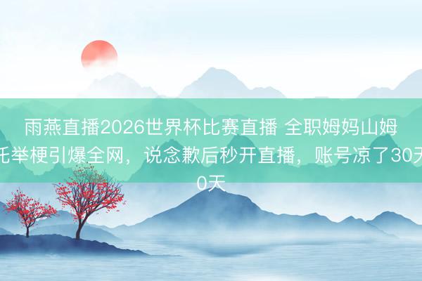雨燕直播2026世界杯比赛直播 全职姆妈山姆托举梗引爆全网，说念歉后秒开直播，账号凉了30天