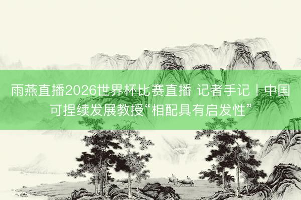 雨燕直播2026世界杯比赛直播 记者手记丨中国可捏续发展教授“相配具有启发性”