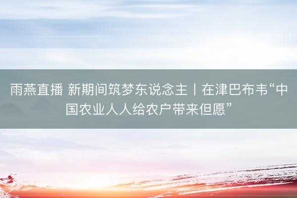 雨燕直播 新期间筑梦东说念主丨在津巴布韦“中国农业人人给农户带来但愿”