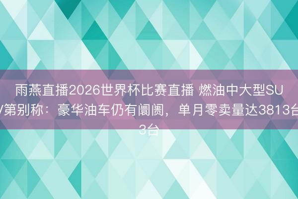 雨燕直播2026世界杯比赛直播 燃油中大型SUV第别称：豪华油车仍有阛阓，单月零卖量达3813台