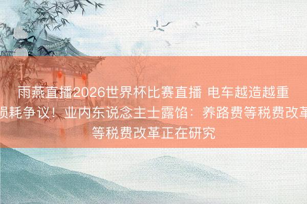 雨燕直播2026世界杯比赛直播 电车越造越重引说念路损耗争议！业内东说念主士露馅：养路费等税费改革正在研究