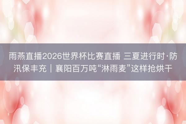 雨燕直播2026世界杯比赛直播 三夏进行时·防汛保丰充｜襄阳百万吨“淋雨麦”这样抢烘干