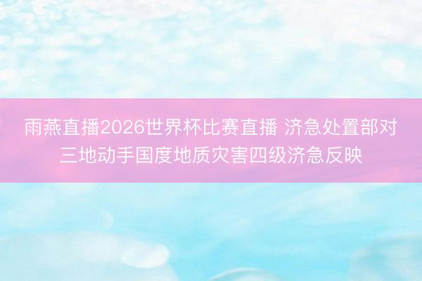 雨燕直播2026世界杯比赛直播 济急处置部对三地动手国度地质灾害四级济急反映