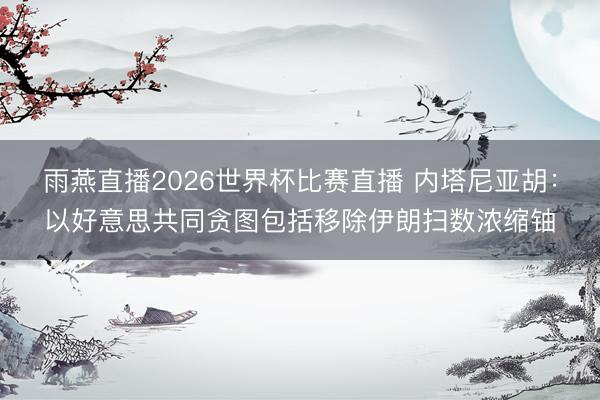 雨燕直播2026世界杯比赛直播 内塔尼亚胡：以好意思共同贪图包括移除伊朗扫数浓缩铀