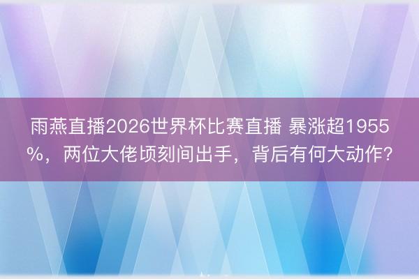 雨燕直播2026世界杯比赛直播 暴涨超1955%，两位大佬顷刻间出手，背后有何大动作？