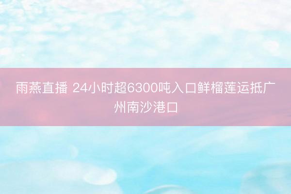 雨燕直播 24小时超6300吨入口鲜榴莲运抵广州南沙港口
