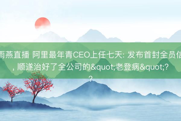 雨燕直播 阿里最年青CEO上任七天: 发布首封全员信, 顺遂治好了全公司的"老登病"?