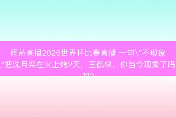 雨燕直播2026世界杯比赛直播 一句